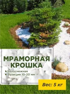 Декоративный мрамор натуральные камни 5 кг Need For Home 32216410 купить за 378 ₽ в интернет-магазине Wildberries