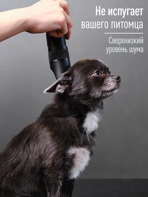 woof House Машинка для стрижки животных проводная, черный, фото 3
