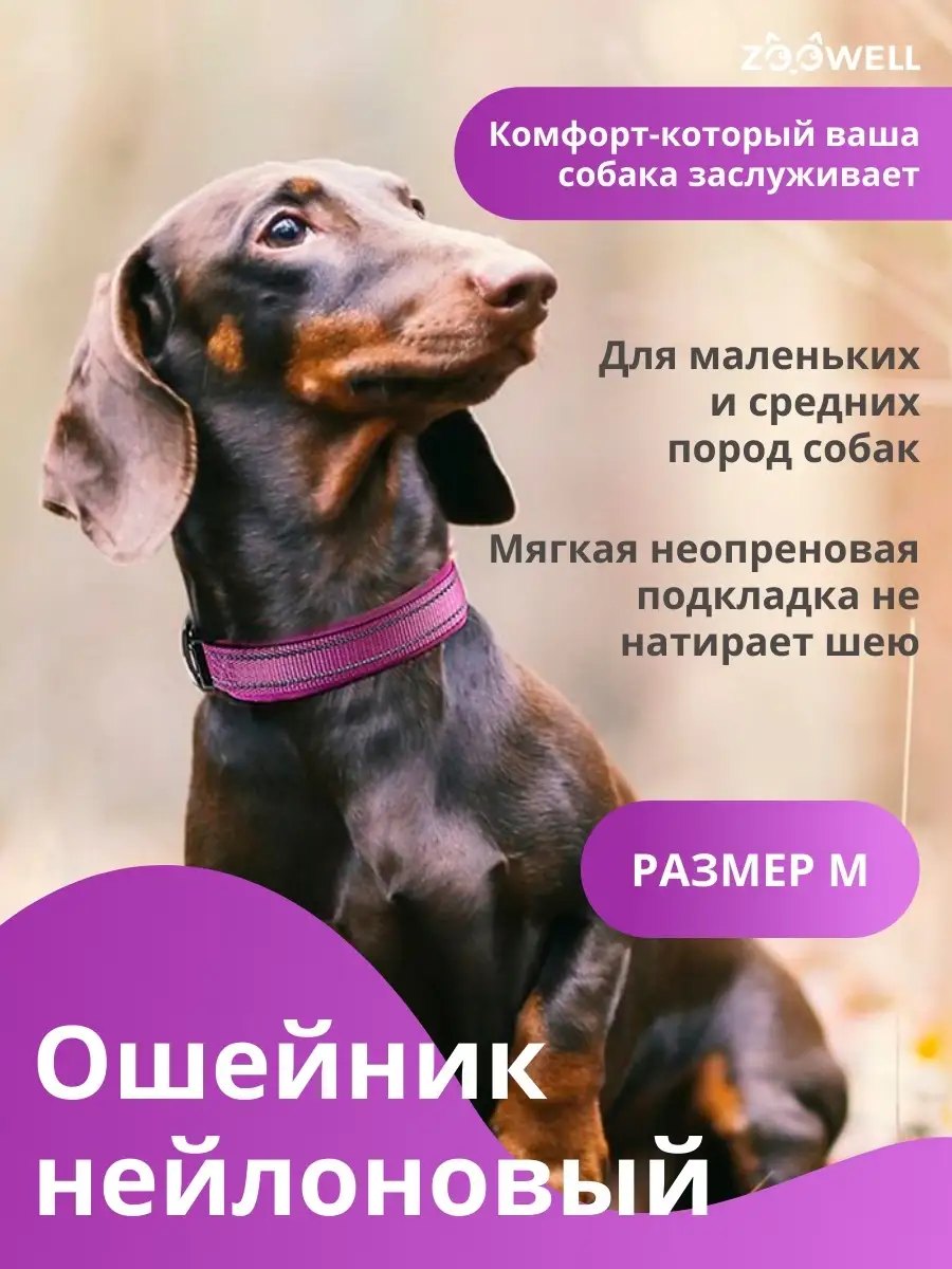 Ошейник для собак и кошек Zoowell 32339063 купить в интернет-магазине  Wildberries