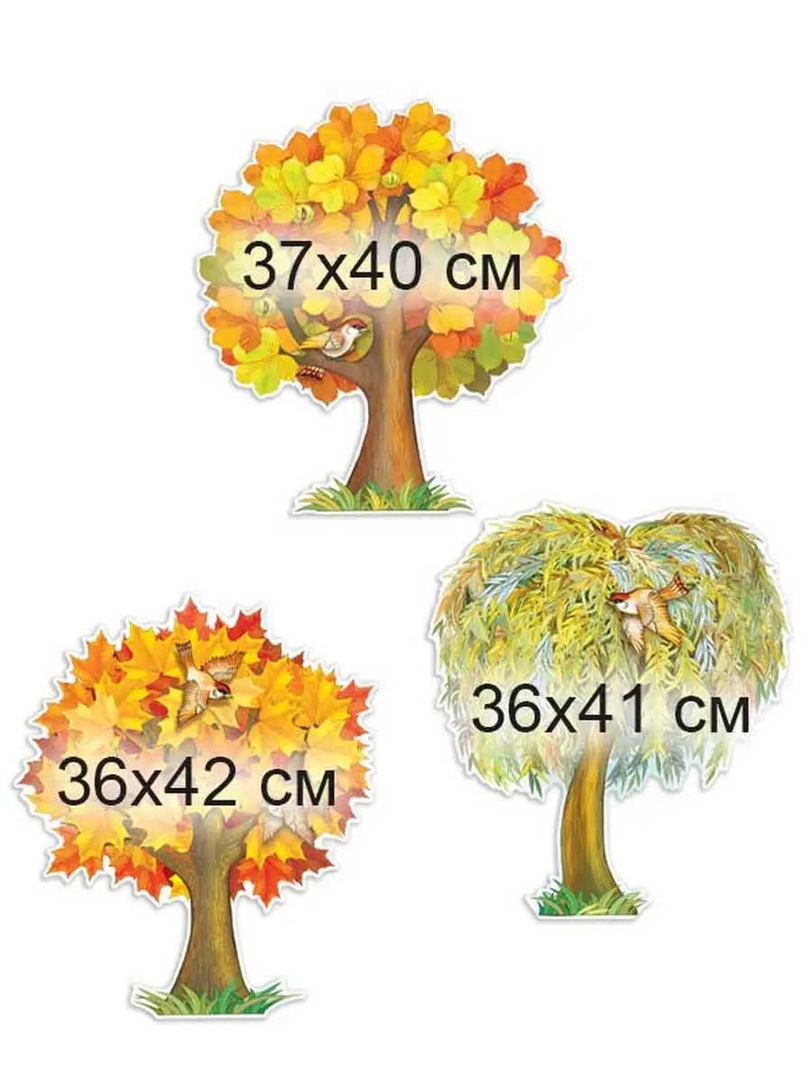 Плакат осень деревья для школы и детского сада А3 ТМ Империя поздравлений  купить по цене 201 ₽ в интернет-магазине Wildberries | 32427509