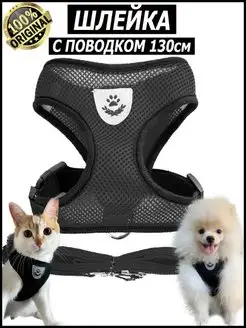 Шлейка прогулочная с поводком для собак и кошек KINGDOM pets 32668247 купить за 182 ₽ в интернет-магазине Wildberries