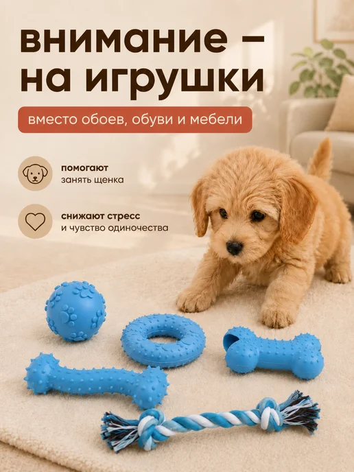 ГавГарин Набор игрушек для собак 5 штук, голубой, фото 4