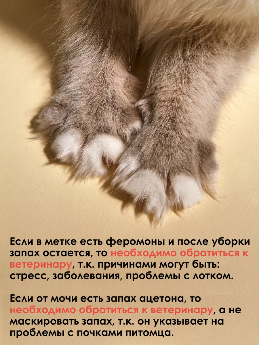 Ликвидатор нейтрализатор запаха животных, меток кошек собак Muzzle pet care  32746055 купить за 319 ₽ в интернет-магазине Wildberries