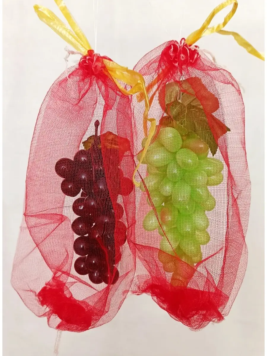 Защита от ос мешочки. Защита от ос мешочки. Сетчатый мешок для защиты фруктов. Защита от ос мешочки. Сетка-мешок для винограда 28*40см садовита.