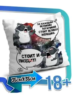 Подушка наволочка Ла Принт енот толик «великий мужчина великая женщина» смешная с приколом с принтом