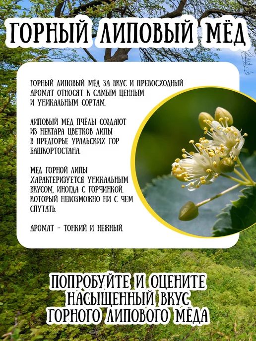 Мёд семьи Мамдеевых Горный липовый натуральный мед, сладости, подарок, вариант, фото 2