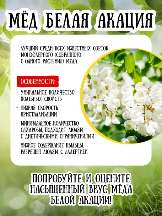 Мёд семьи Мамдеевых Мед натуральный белая акация, 1700 г, 950 г, фото 2