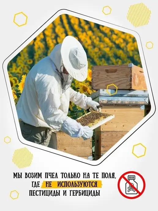 Мёд семьи Мамдеевых Мед натуральный белая акация, 1700 г, 950 г, фото 8