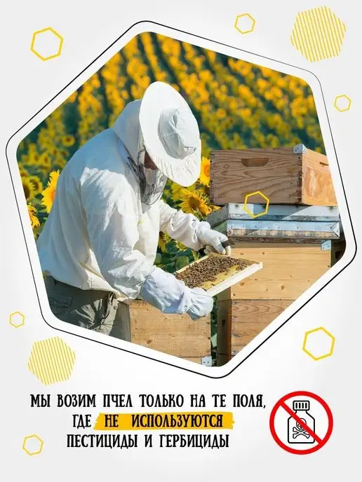 Мёд семьи Мамдеевых Гречишный мед, ПП продукты,Еда, вариант, фото 6