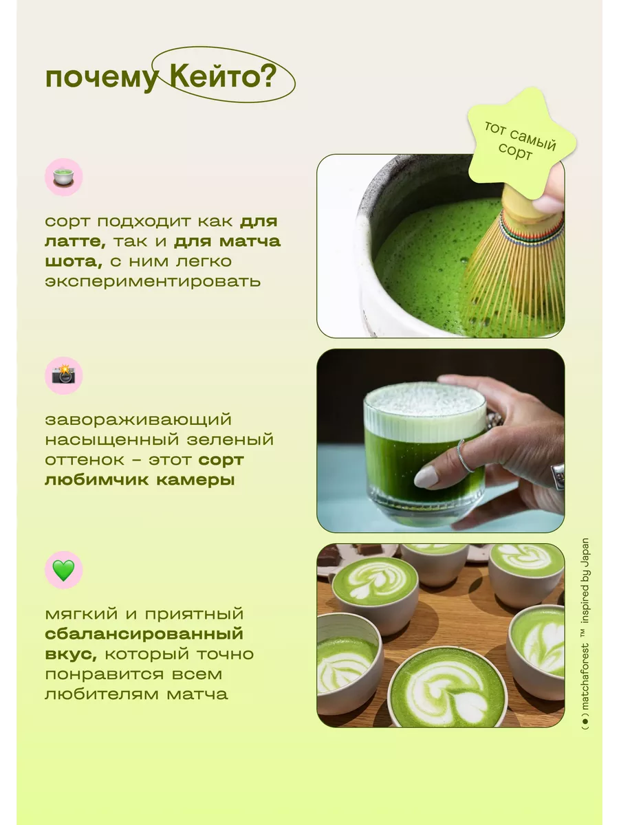 Церемониальный матча чай Кейто 50г Япония Matcha Forest 33122875 купить за  2 138 ₽ в интернет-магазине Wildberries