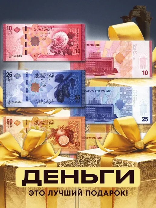 Монетный дискаунтер Набор коллекционных банкнот Сирии 2025 год, 3 шт, фото 8