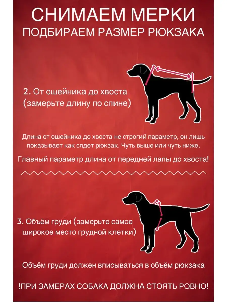 Рюкзак для собак DogTalk 33192556 купить за 3 230 ₽ в интернет-магазине  Wildberries