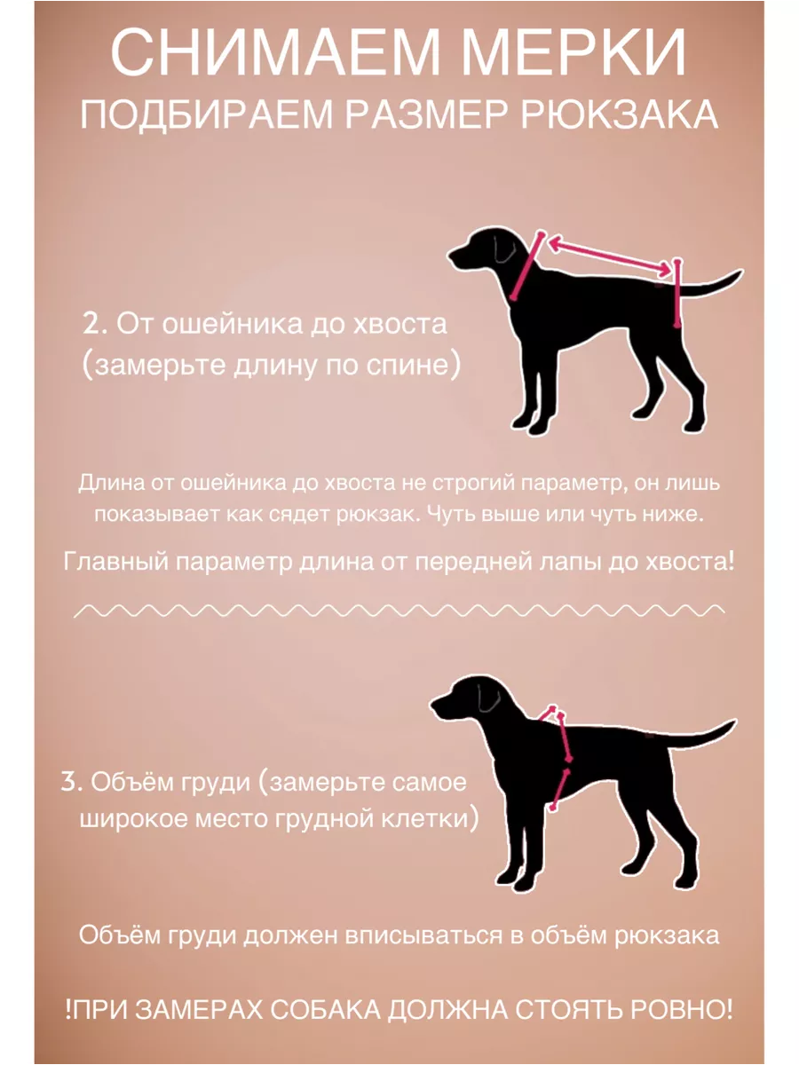 Переноска для собаки DogTalk 33192852 купить за 3 317 ₽ в интернет-магазине  Wildberries