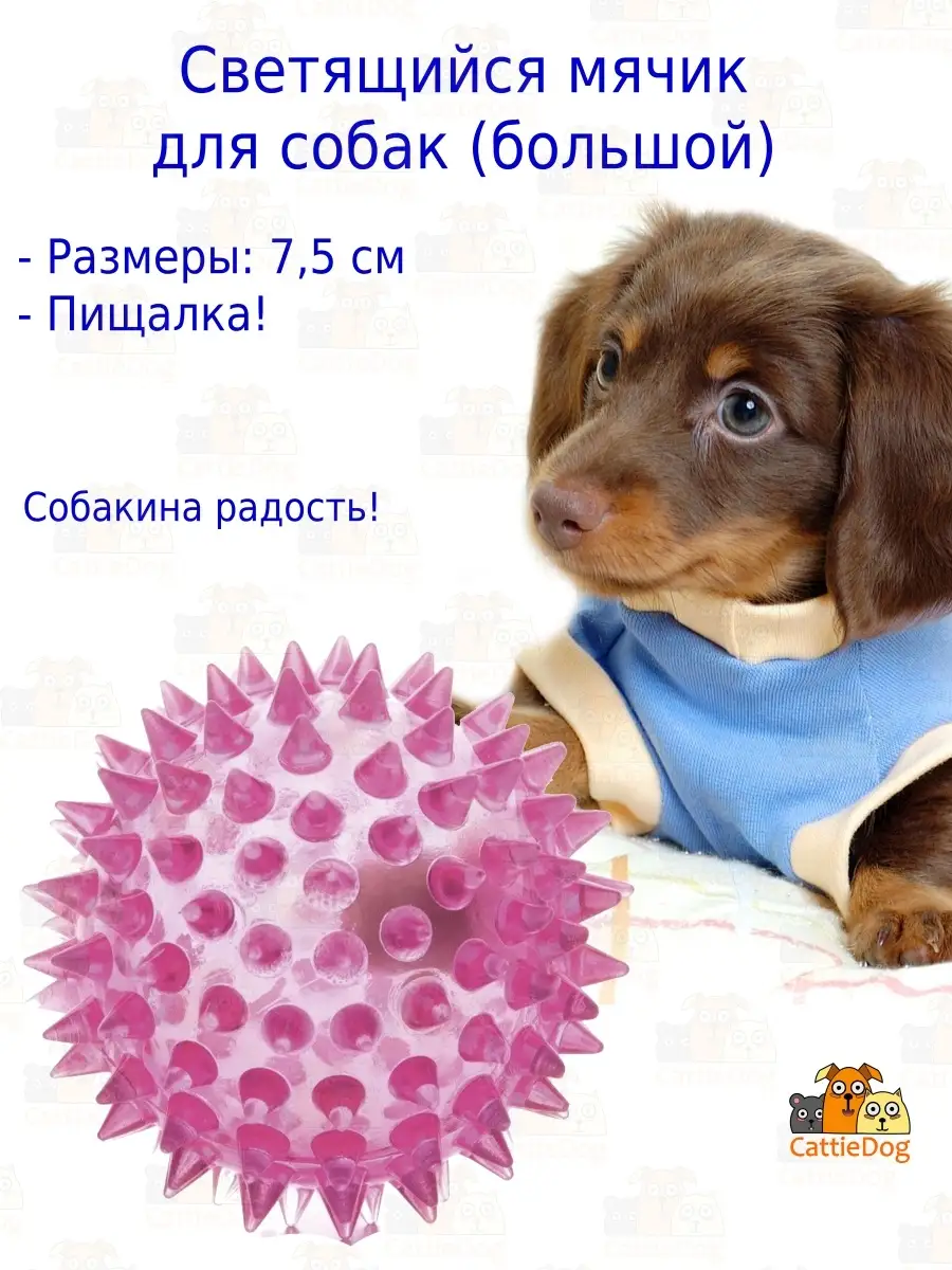 Игрушка большой светящийся мячик для собак/мигающий L CattieDog 33239372  купить в интернет-магазине Wildberries