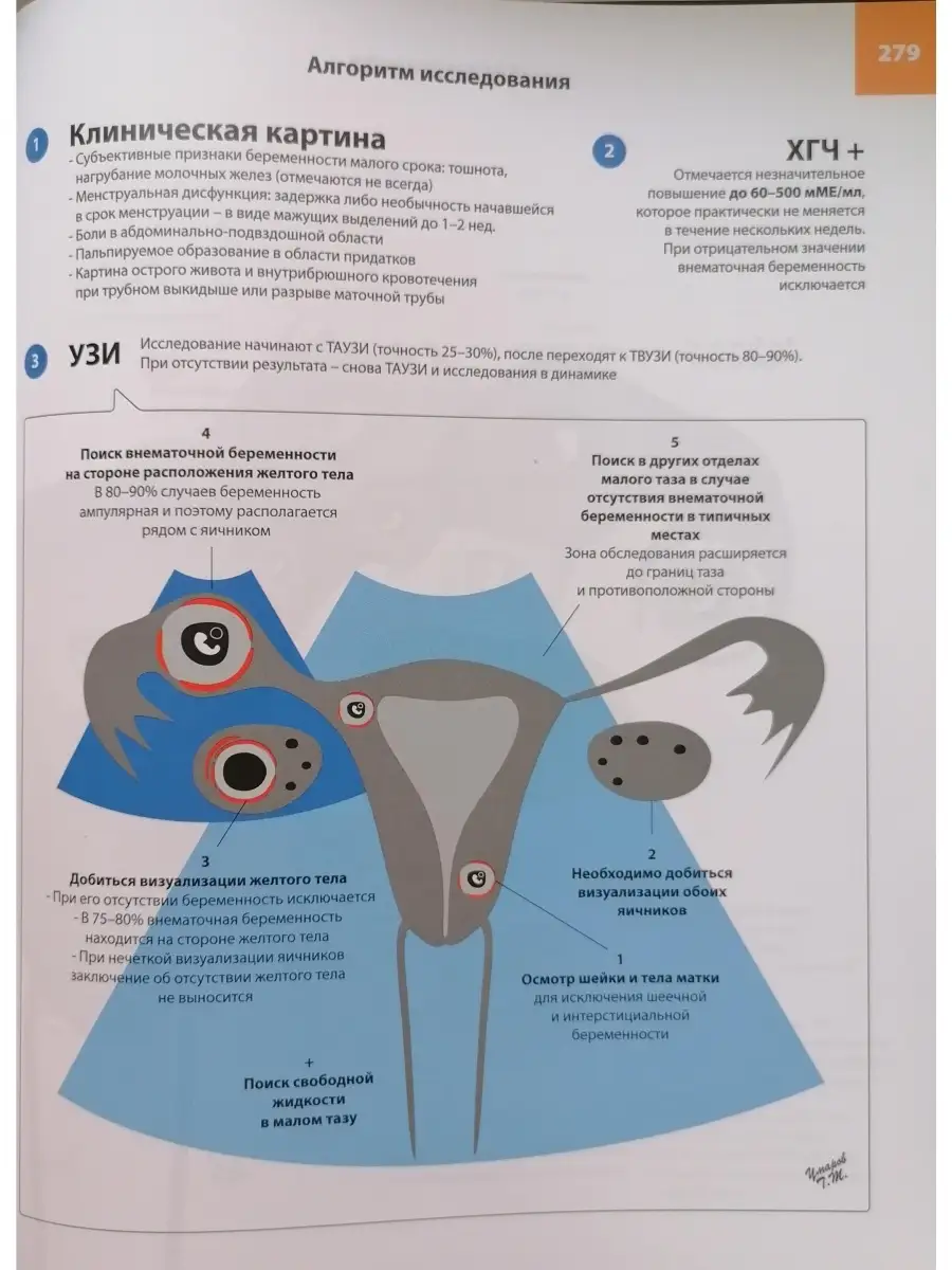 Атлас по ультразвуковой диагностике в гинекологии МЕДпресс-информ 33307388  купить за 3 600 ₽ в интернет-магазине Wildberries