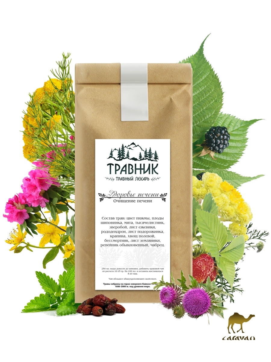 Чай здоровье печени. Горный чай. Бодрость напиток травяной. Кавказский сбор трав для очищения лимфы. Травяной чай для здоровья вашей печени.