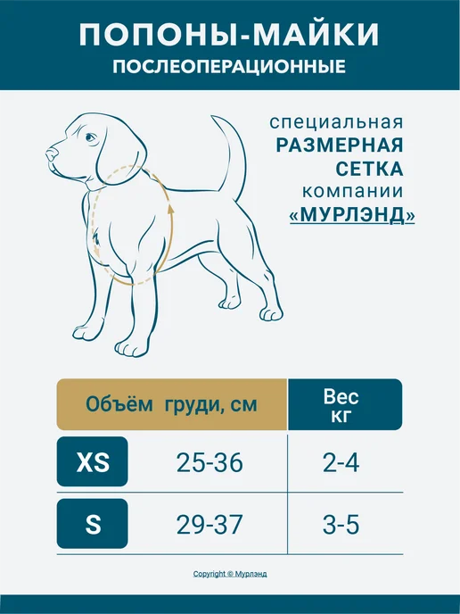 МУРЛЭНД Послеоперационная попона-майка для собак мелких, хлопок, белый, фото 4
