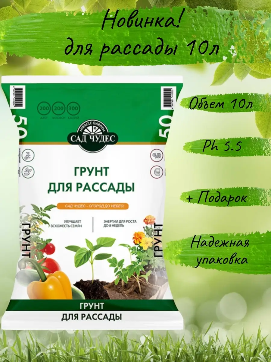 Купить Садовую Рассаду