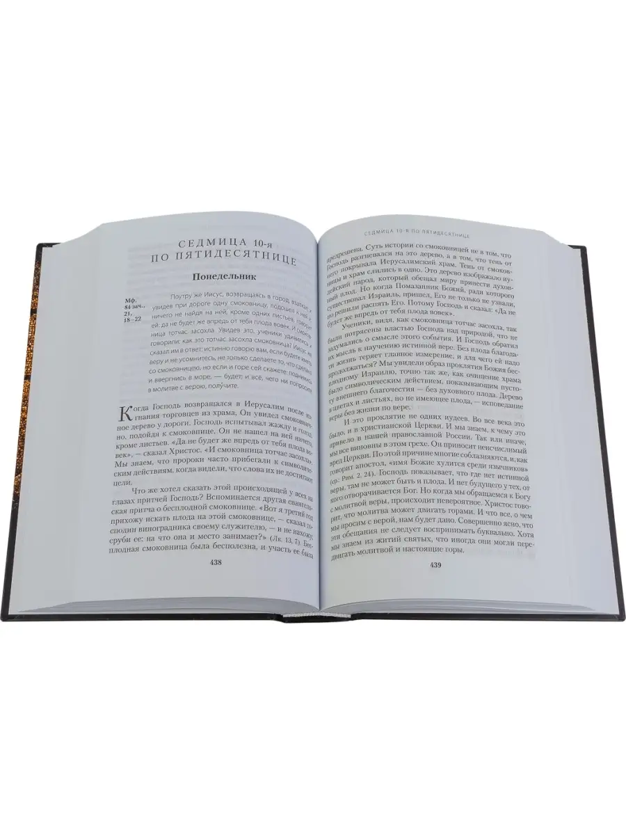 Евангелие дня в 2-х томах. Толкование Евангелия на каждый день  богослужебного года Отчий дом 33534710 купить в интернет-магазине  Wildberries