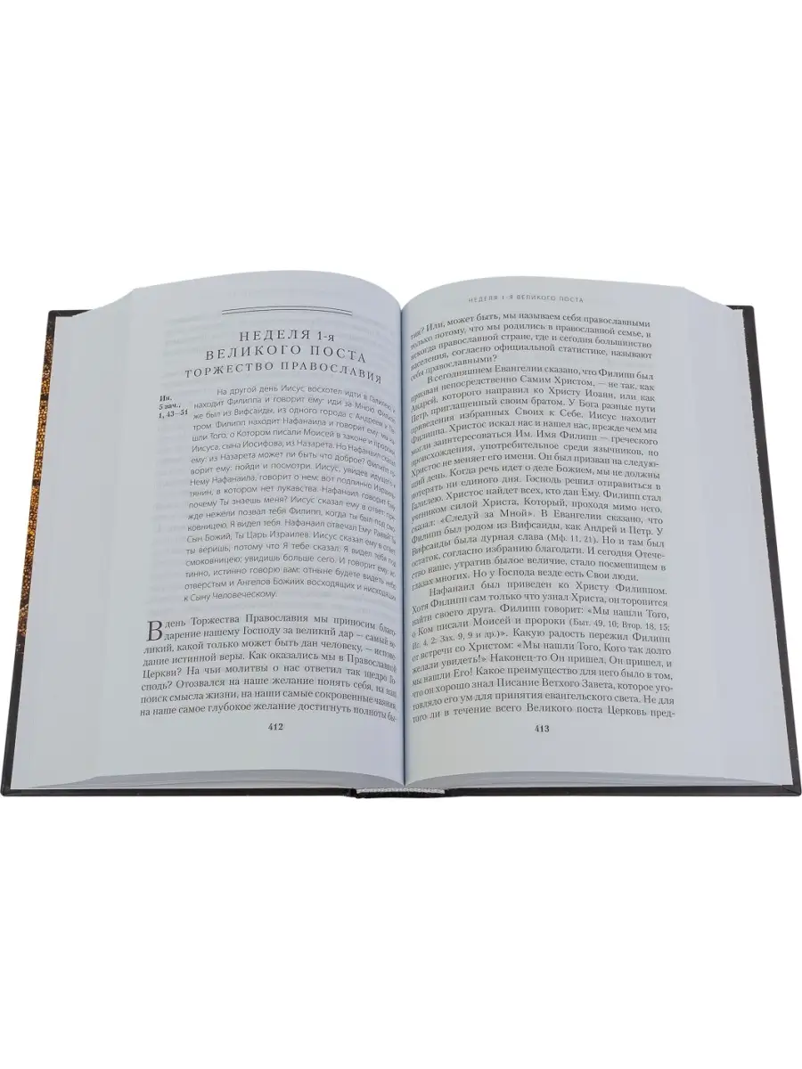Евангелие дня в 2-х томах. Толкование Евангелия на каждый день  богослужебного года Отчий дом 33534710 купить в интернет-магазине  Wildberries