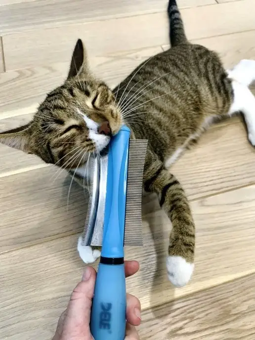 HappyPet Щетка чесалка для вычесывания, голубой, фото 2