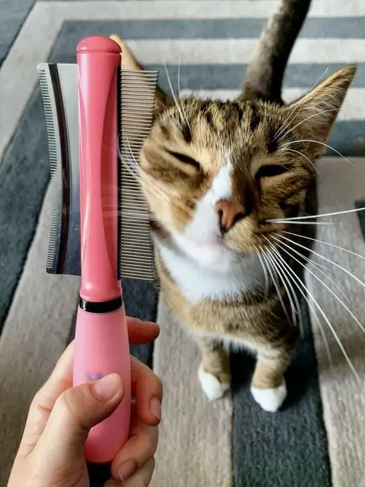 HappyPet Щетка чесалка для вычесывания, розовый, фото 5