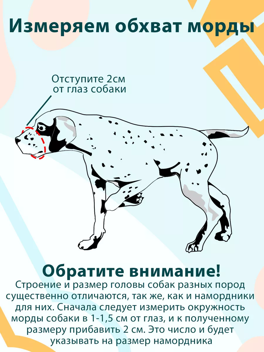 Намордник для собак из натуральной кожи Аркон 33547428 купить за 487 ₽ в  интернет-магазине Wildberries