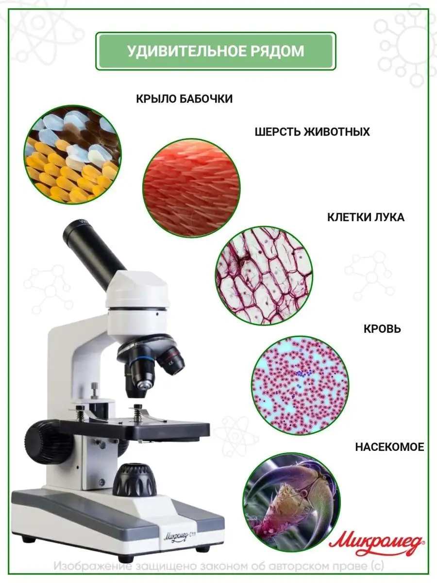 Микроскоп школьный С-11 с подсветкой, биологический Микромед 33671086  купить за 8 296 ₽ в интернет-магазине Wildberries
