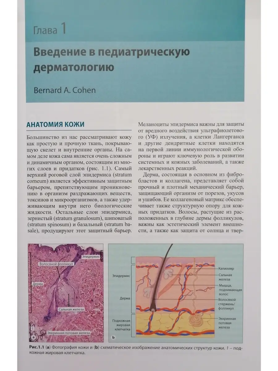 Педиатрическая дерматология МЕДпресс-информ 33685324 купить за 3 323 ₽ в  интернет-магазине Wildberries