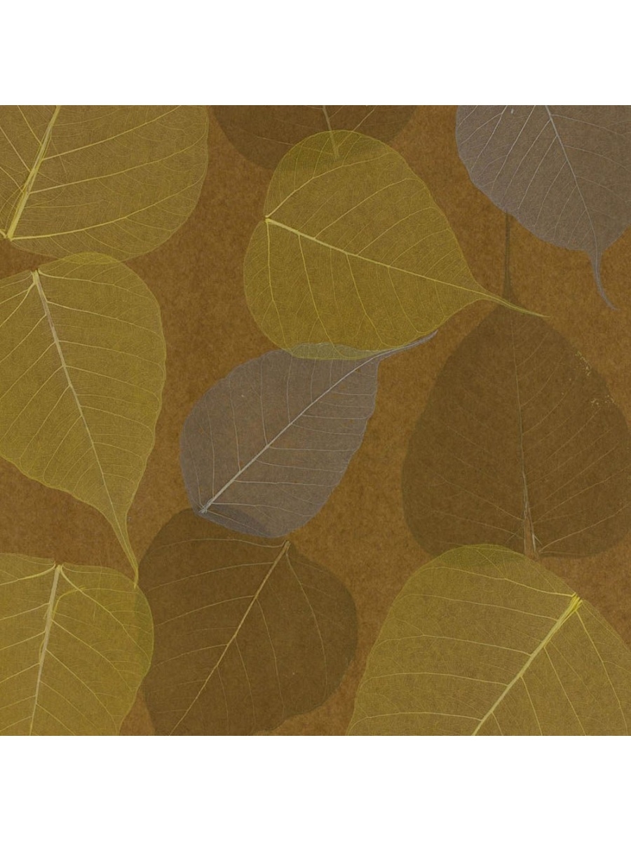 Натуральные обои Cosca листья Прима Азуль. Фотообои листья. Натуральные обои листья Прима Азуль, 5,5х0,91 м. Плитка декор листья Рамесса.