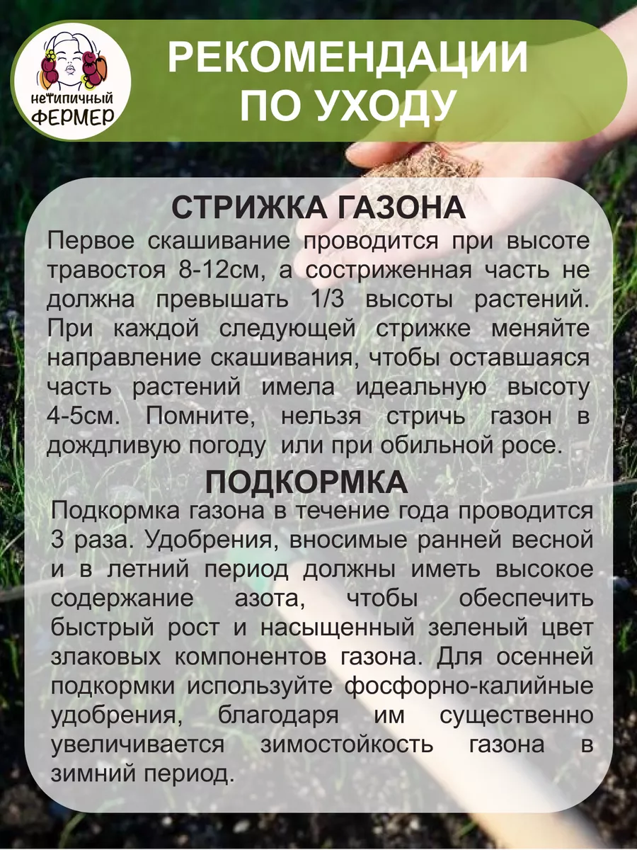 Газонная трава семена Канада Супергрин 0,9 кг Нетипичный Фермер 33721111  купить за 1 126 ₽ в интернет-магазине Wildberries