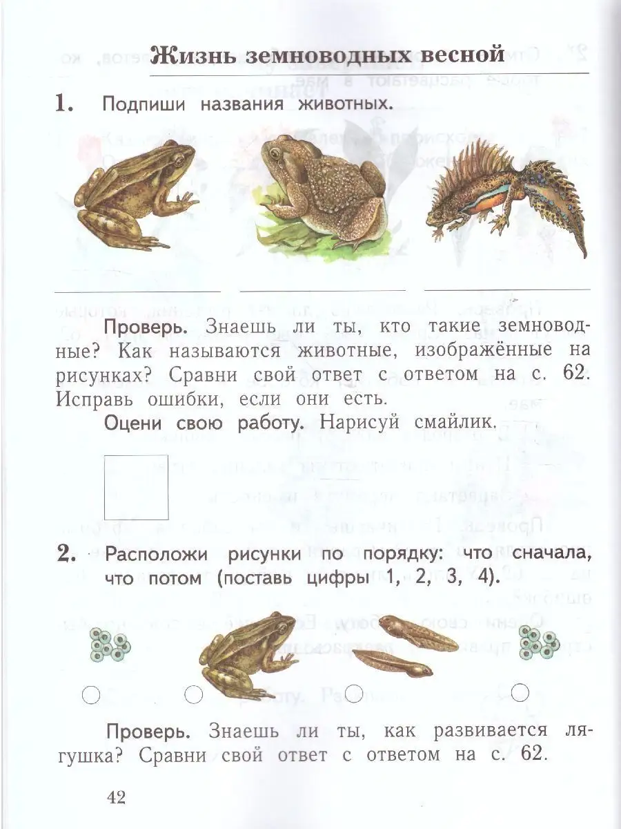 Окружающий мир 1 класс. Комплект из 2-х рабочих тетрадей Просвещение  33758619 купить за 477 ₽ в интернет-магазине Wildberries