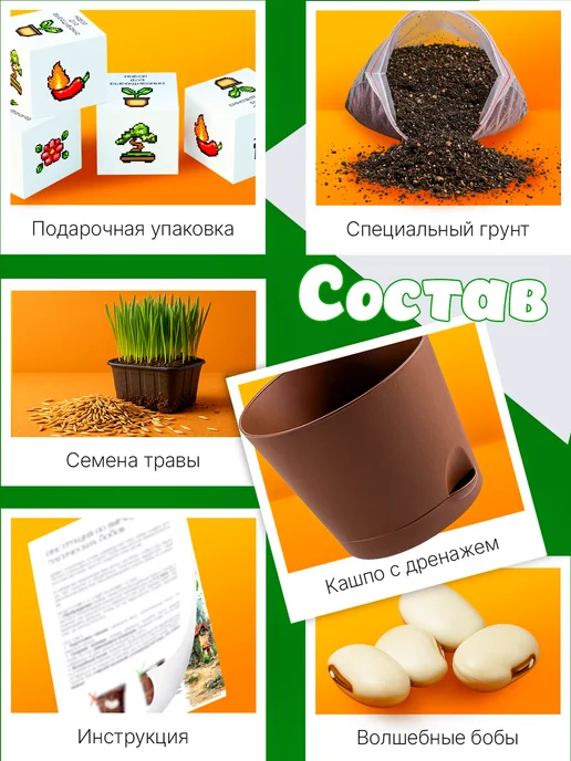 Про Растения Набор для выращивания растений для детей Волшебные бобы, вариант, фото 6