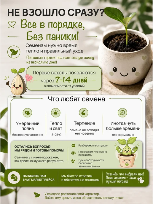 Про Растения Набор для выращивания растений для детей Волшебные бобы, вариант, фото 7
