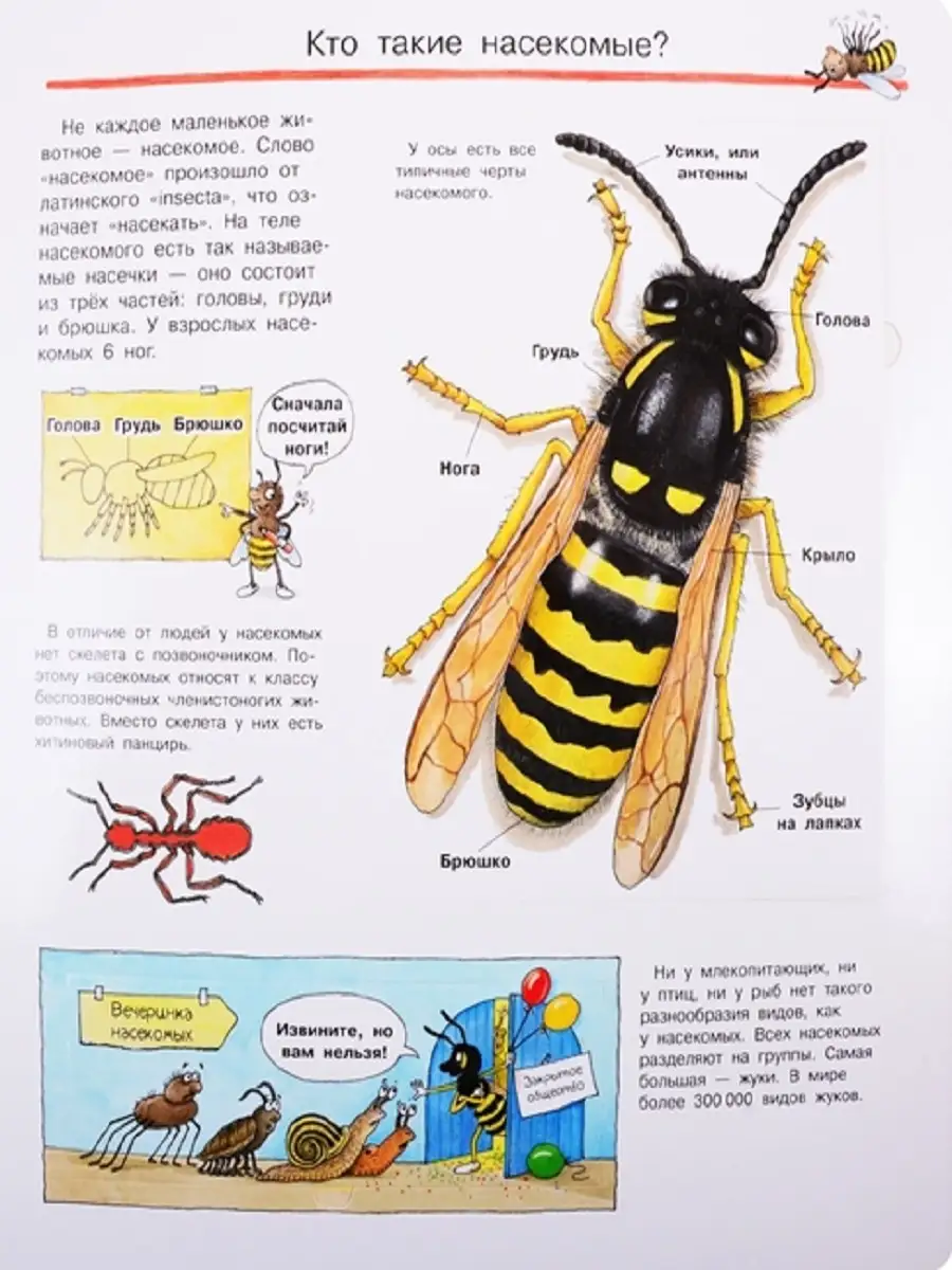 Что? Почему? Зачем? Все о насекомых Издательство Омега 33786740 купить в  интернет-магазине Wildberries