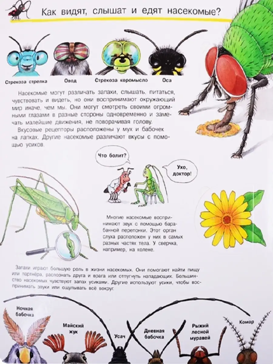 Что? Почему? Зачем? Все о насекомых Издательство Омега 33786740 купить в  интернет-магазине Wildberries