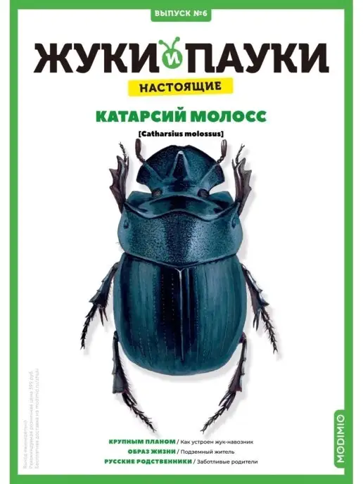 MODIMIO Журнал Жуки и пауки№6, Катарсий молосс, 2 шт, фото 3