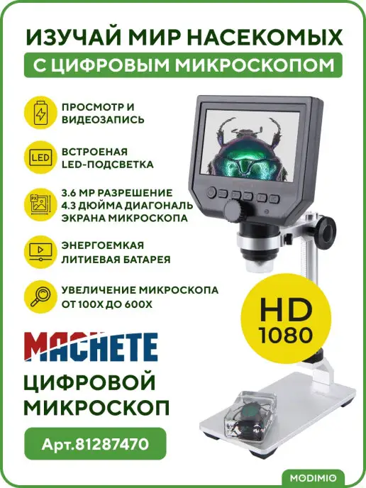 MODIMIO Журнал Жуки и пауки№6, Катарсий молосс, 2 шт, фото 4