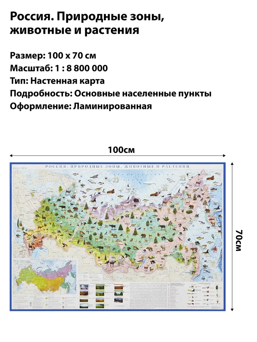 Карта России физическая настенная Природные зоны. Животные и растения  100х70см Плакат к 1 сентября Атлас принт 33792926 купить в  интернет-магазине Wildberries