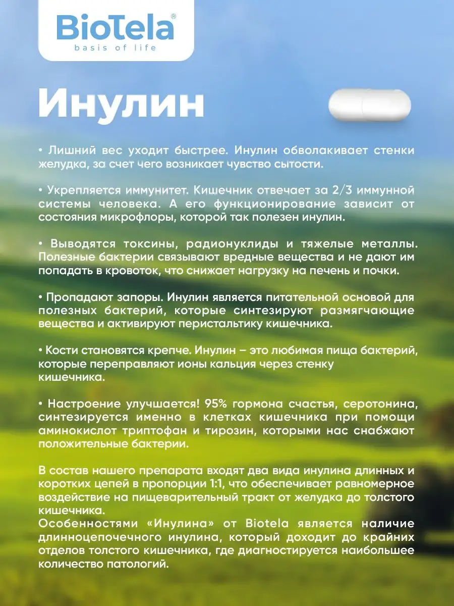 Пребиотик Инулин,540 капсул,на 3 месяца BioTela 33903783 купить за 1 215 ₽  в интернет-магазине Wildberries