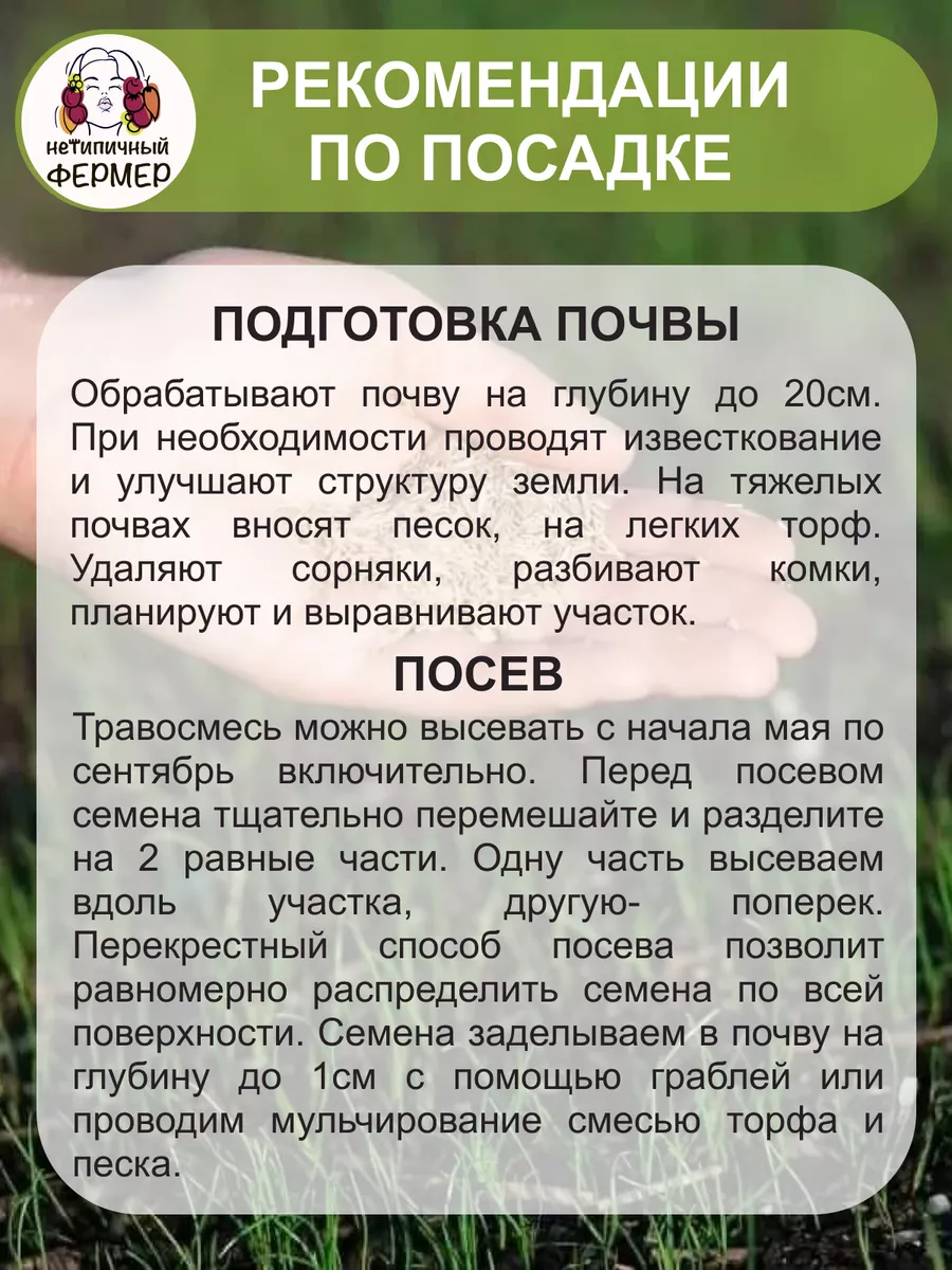 Газонная трава семена 1 кг универсальная травосмесь Нетипичный Фермер  33923927 купить за 1 002 ₽ в интернет-магазине Wildberries