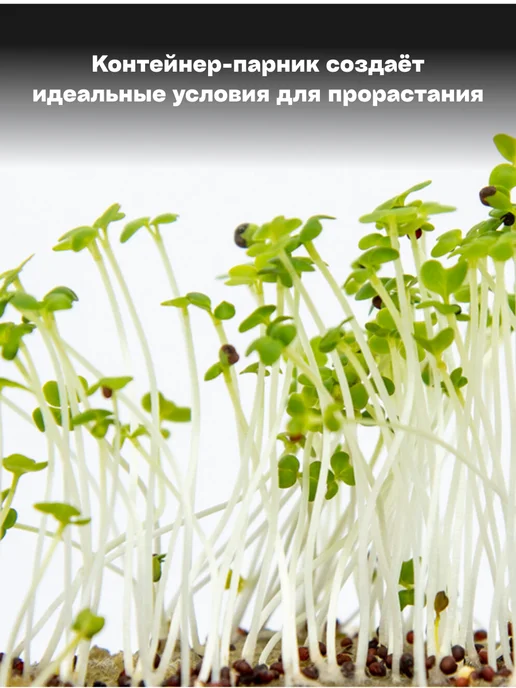 Микромир Набор для выращивания микрозелень кресс-салат 3шт, 3 шт