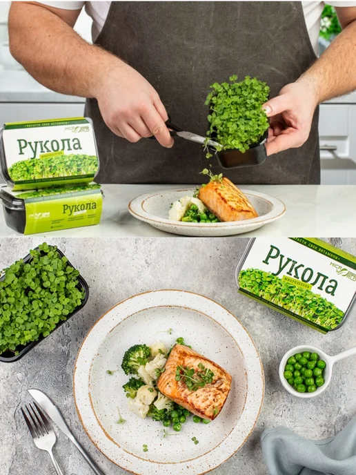 Микромир Набор для выращивания микрозелень руккола 3шт, 3 шт, фото 4