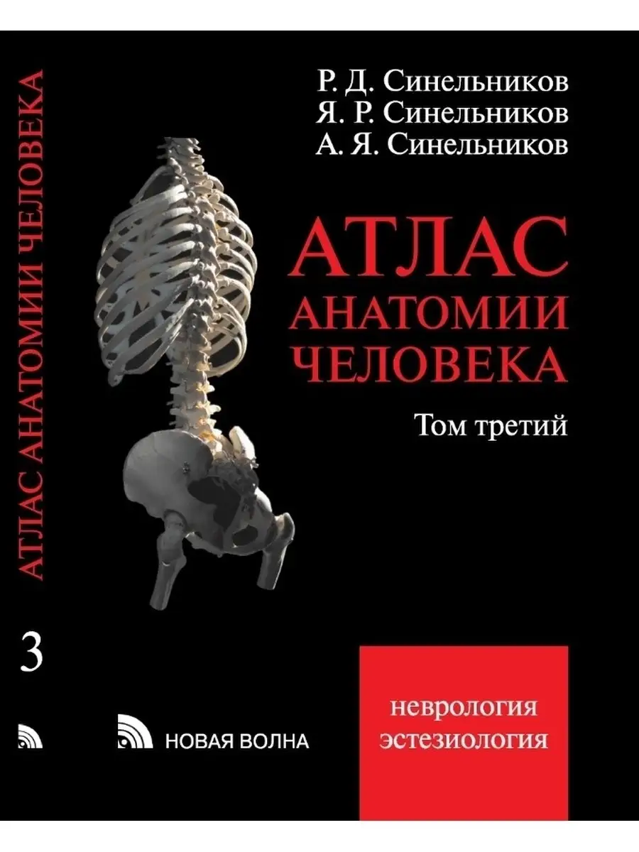 Атлас анатомии человека. Том 3. Новая Волна 34049716 купить за 3 981 ₽ в  интернет-магазине Wildberries