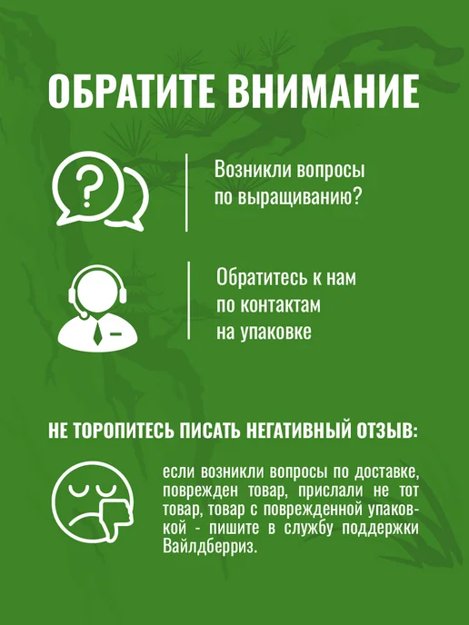 ЭкоКлуб Набор для выращивания растений бонсай Кедр, вариант, фото 6