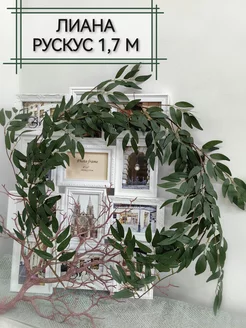 Рускус искусственный Home & Flower by E. Urasina 34113357 купить за 515 ₽ в интернет-магазине Wildberries