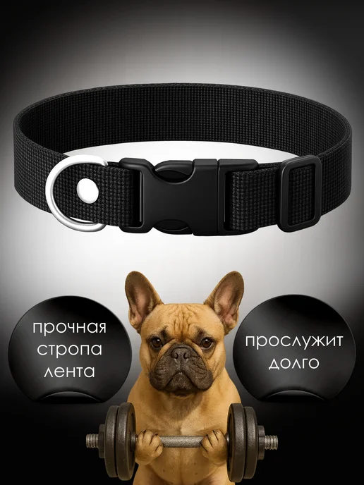 Petsare Ошейник для собак мелких средних пород и кошек, черный, фото 4