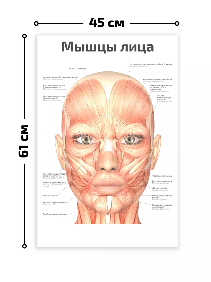 Лечение боли при половом акте, после секса у женщин