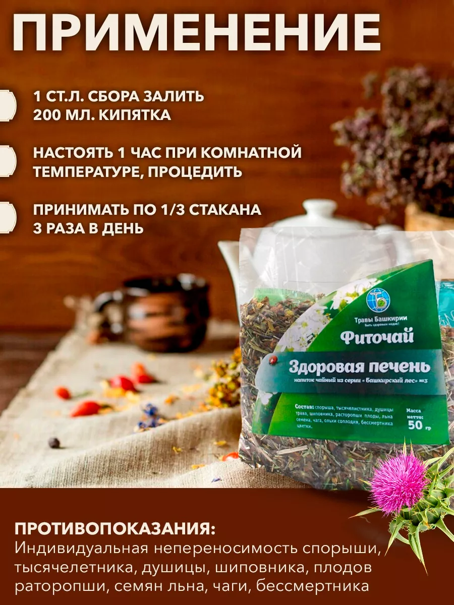 Сбор Здоровая Печень, 50гр KAMCHATKA 34234257 купить в интернет-магазине  Wildberries