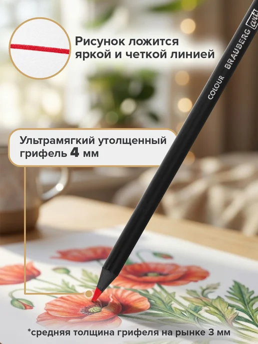 Brauberg Карандаши цветные художественные для рисования, 120 цветов, 120 цв., фото 4